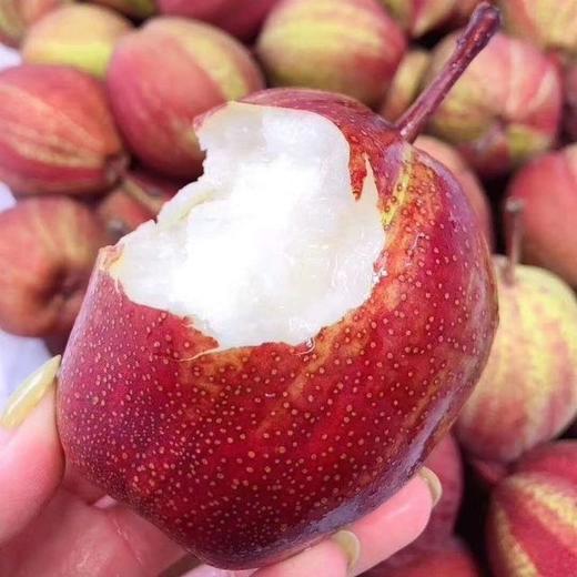  陕西彩虹梨，脆甜多汁，清爽甜蜜！去油腻！ 商品图0