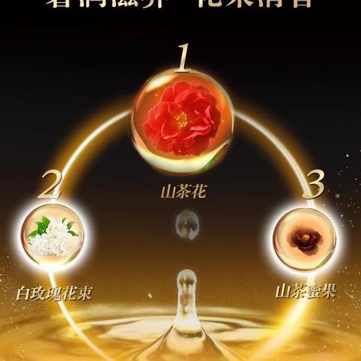 丝蓓绮黑耀瓶沁耀臻致奢护洗发露490ml烫染受损干枯毛躁发质效期25年10月 商品图4