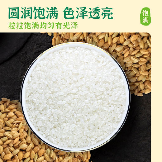 【云谷稻香米】华大万物云谷稻香米圆润饱满香甜软糯多年生大米真空包装2.5kg 商品图1