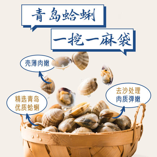 船歌鱼水饺青岛特色野馄饨组合1244g120只 儿童早餐抄手小云吞 紫菜虾皮混沌 商品图4