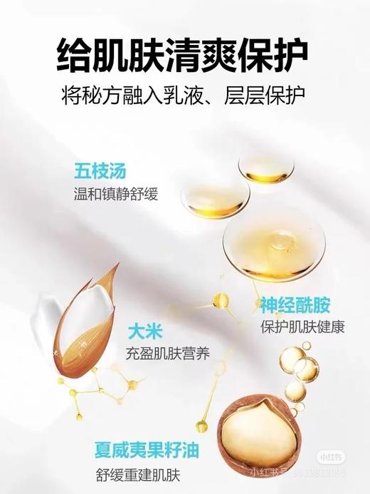 韩国宫中秘策儿童面部乳液Goongbe婴幼儿童护肤润肤面部润肤乳80ml效期26年2月 商品图10