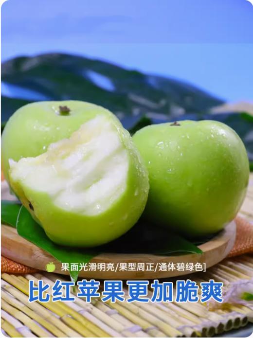 山西清甜爽口青苹果 商品图2