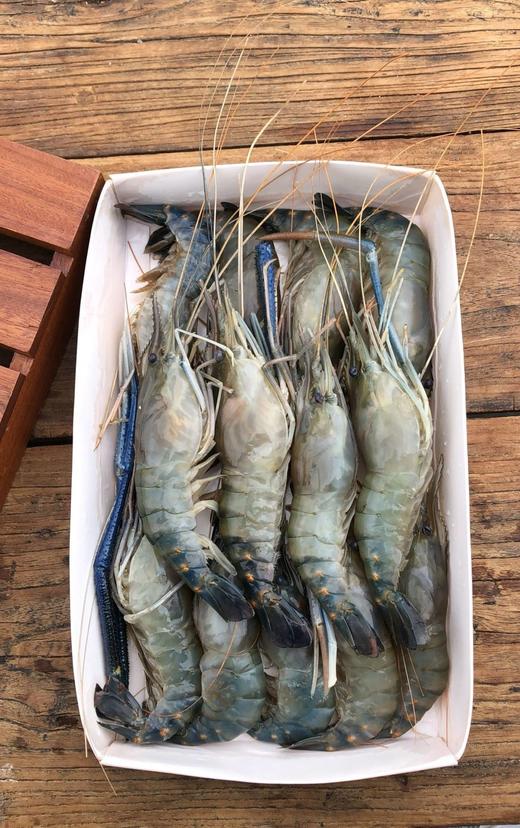 【淡水虾中的佼佼者】买1斤送半斤 市面少有特大号  罗氏虾 好吃到舔手指 商品图4