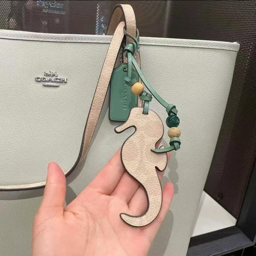 夏日清新款好折！Coach city经典敞口托特包 商品图1