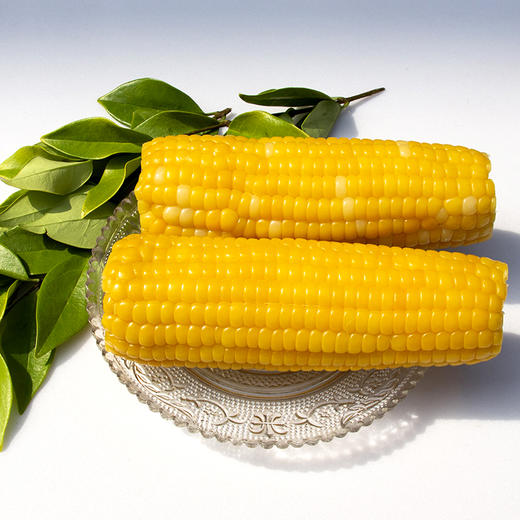 新疆喀什喀小糯甜糯玉米2.5kg/盒 商品图5