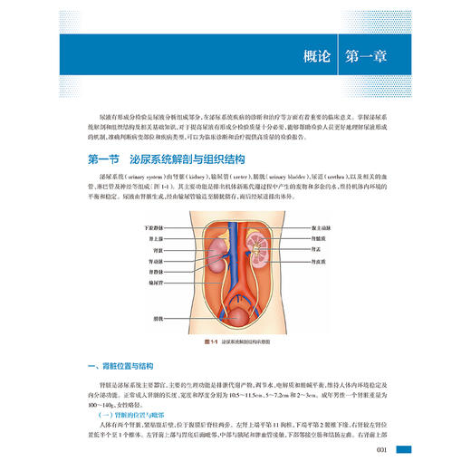 尿液有形成分临床检验诊断图谱 临床检验诊断图谱丛书 闫立志 郑磊 主编 涵盖了尿液有形成分检验的各个方面 人民卫生出版社 商品图4
