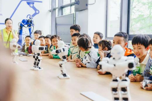 春假4.3【成华区-超能机器人总动员-独立营】AI智能科技，克鲁泽机器人互动，机械臂拆装工坊（VR体验），仿生机器人制作，螃蟹机器人比赛 商品图6