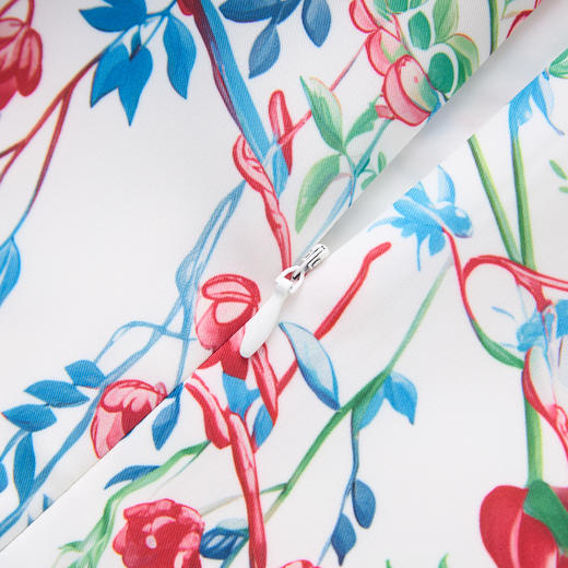 「高货wl」全新升级【铂金会员284/天猫379/差价95】(65428)洛诗琳复古国风花鸟印花连衣裙2025夏季气质优雅时尚A字裙 商品图2