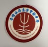 通版佛山市顺德区杏檀伍蒋惠芳实验中学包边校徽贴可缝烫现货发51 商品缩略图0