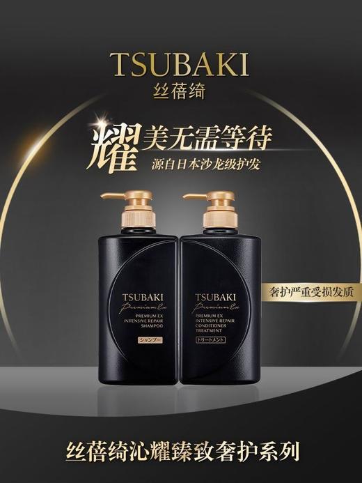 丝蓓绮黑耀瓶沁耀臻致奢护洗发露490ml烫染受损干枯毛躁发质效期25年10月 商品图9