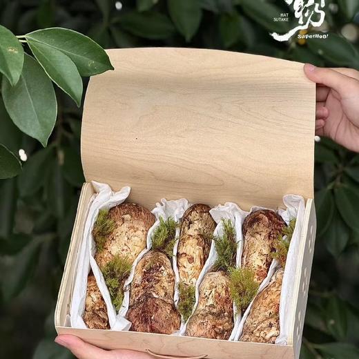 吉好鲜物香格里拉松茸，来自香格里拉海拔3600米以上的野生松茸，给你带来极致新鲜的味蕾体验！ 商品图6