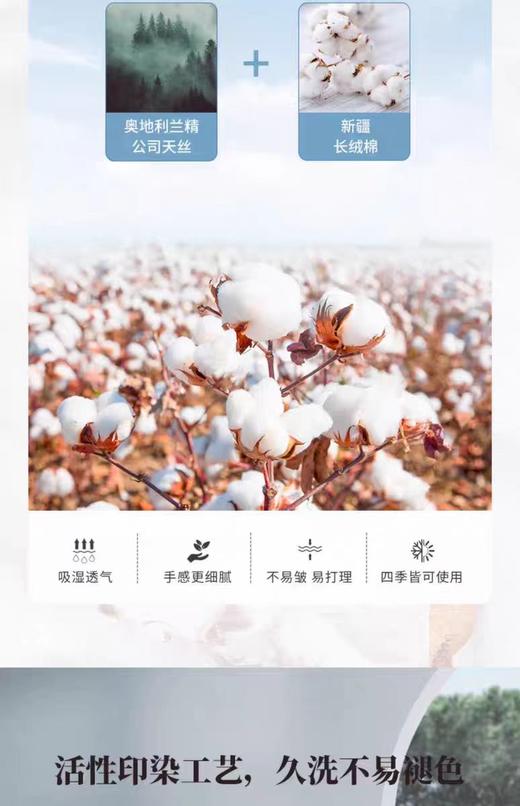 10楼 梦洁 高端床上用品 睡莲映象天丝棉四件套200*230/248/248 吊牌价2599/2999 活动价1699/1999 商品图4