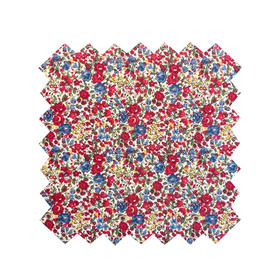 LT017A Maxmara合作款意大利pt展走秀款EMMA AND GEORGINA艾玛与乔治娜  269/M