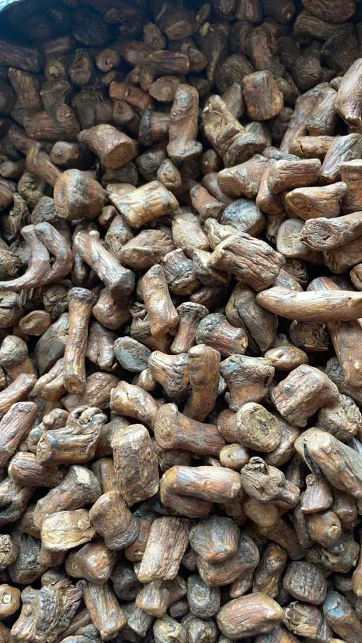 【新品开售活动：4瓶 送 1瓶；6瓶 送2瓶】长白山5年野生蒲公英炒制大根 一级货 商品图1