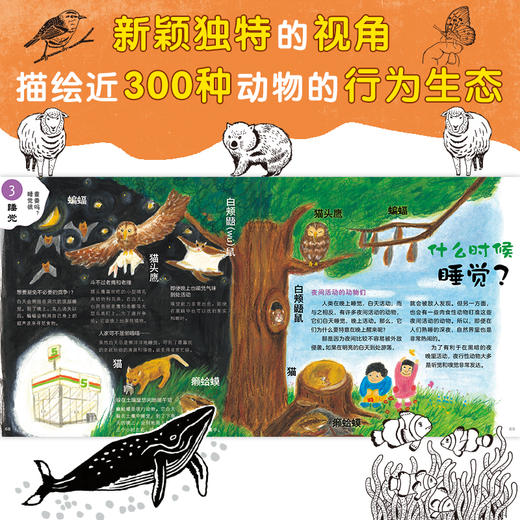 【北斗 绘本3-8岁】动物生活图鉴  BIB金苹果奖得主绘制 孩子自然探秘的启蒙书 商品图6