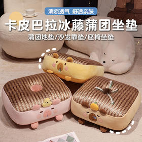 自然醒卡皮巴拉冰藤蒲团坐垫夏季学生教室板凳屁垫藤席垫汽车椅垫QYL