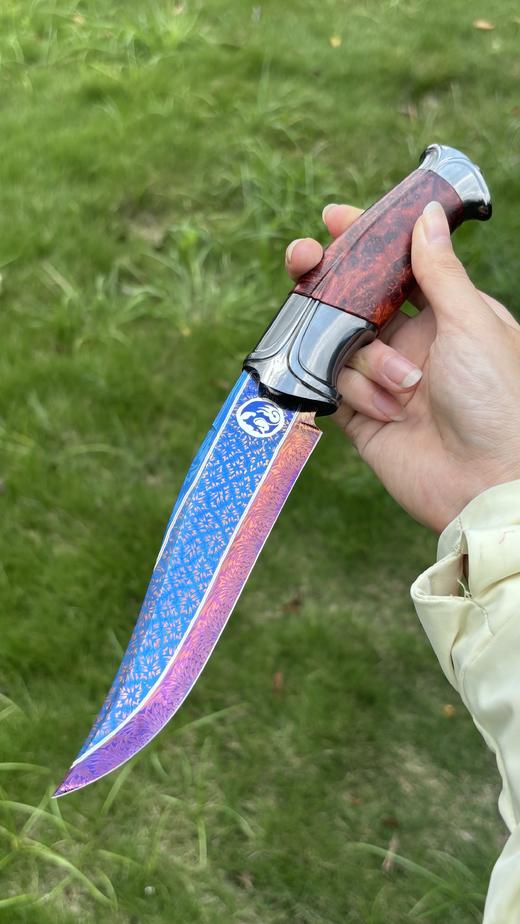 三希堂  星空系列  天坛座之龙  未开刃 商品图0