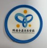通版佛山市顺德本真未来学校包边校徽布标姓名贴章可缝烫现货发51 商品缩略图0