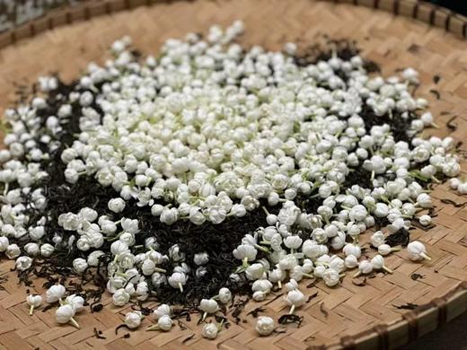 生态茉莉花茶  【基地直发】| 产地：广西横州 | 生产者：中团茉莉花生态农场【公平贸易农人定价】 商品图2