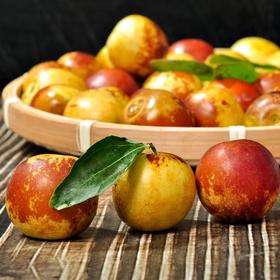 a级冬枣450g左右