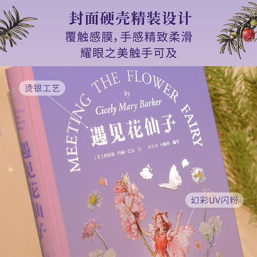 遇见花仙子（艺术与科学的完美结合：梦幻般绝美的收藏级插画搭配有趣有料的植物知识，兼具观赏性与科普性。） 商品图5