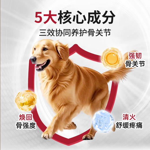 佐愈强护系列宠物营养补充剂骨胶原关节灵（医护版）15g/盒 商品图1