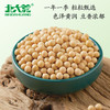 【中国农垦】北大荒彩虹系列黄豆350g 商品缩略图5