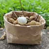 生态龙眼 | 绿家自产 * Eco-longan | In-House Production 商品缩略图3