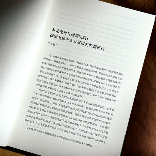 他山之石 国际中文教育研究前沿 全球中文发展研究 第五辑 商品图8