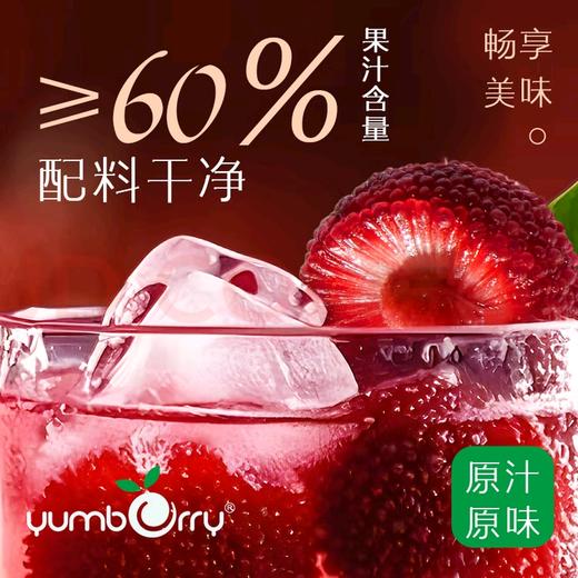 扬百利仙居杨梅汁 380ml*6杯 商品图5
