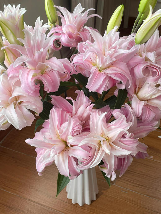 重瓣百合粉蝶【蝴蝶即使飞不过沧海，也没有人忍心责怪】简小姐精选 新品 重瓣百合粉蝶 下单后5天内发货 商品图5