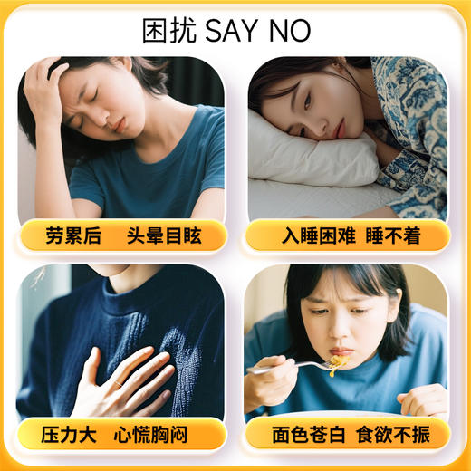 黄芪党参高蛋白豆浆粉 商品图5