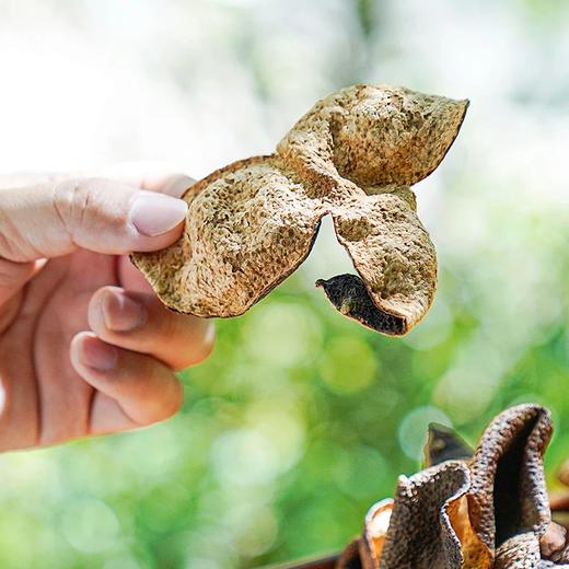 【新会核心产区天马/梅江陈皮】俗话说一两陈皮一两金 药食同源 香气温润入口回甘 商品图5