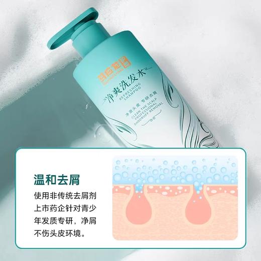 【马应龙护理】净爽洗发水 头油  商品图1