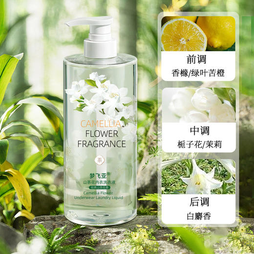 【植物洁净，专注内衣洗护~】山茶花内衣裤洗液 专用去污去黄内衣裤 专用洗衣液清洗剂专用-QA 商品图1