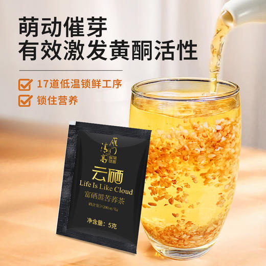 雁门清高富硒黑苦荞茶礼盒480g山西苦荞全胚芽荞麦茶商品礼品 商品图3