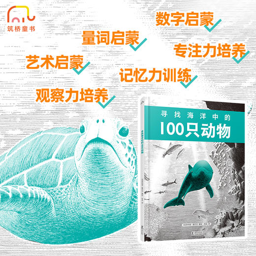 寻找100只动物系列：海洋+森林 商品图1
