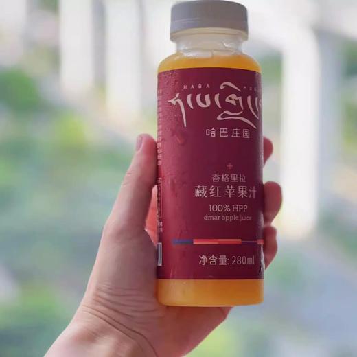 能喝出苹果品种的苹果汁 自然农法种出来的有机苹果 用HPP技术榨出来的100纯苹果汁 这果汁 要惊艳到你 | 百里食 商品图0