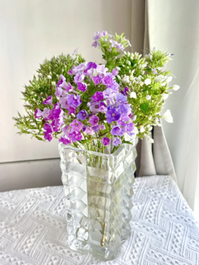 精品花材福禄考一扎