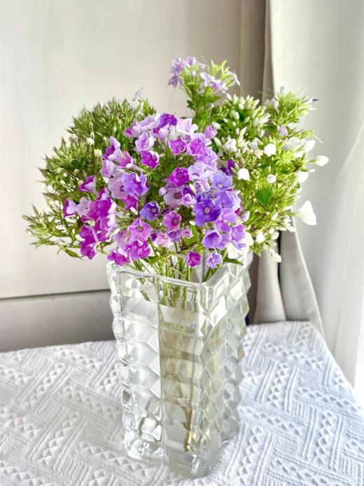 精品花材福禄考一扎 商品图0