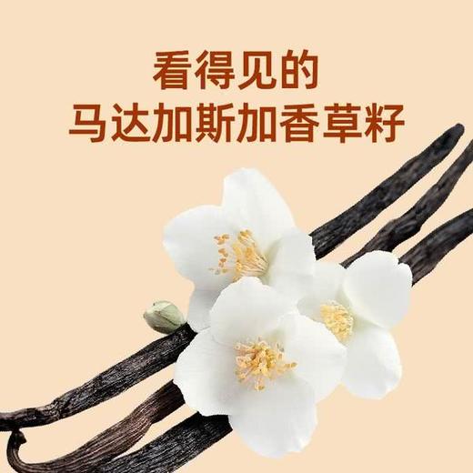 MM 山姆 panpan法式小泡芙（核桃香草味）560g（16包） 商品图2