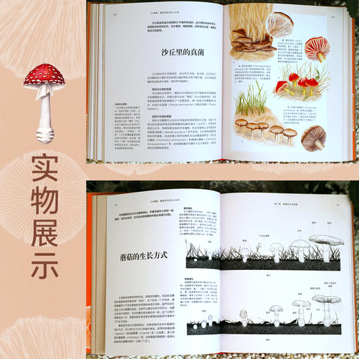 DK真菌：蘑菇背后的惊人科学 商品图4