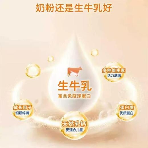 【保税仓】爱薇牛190A2蛋白儿童成长营养配方奶粉（Pro升级版）800g(效期：2027.4） 商品图3