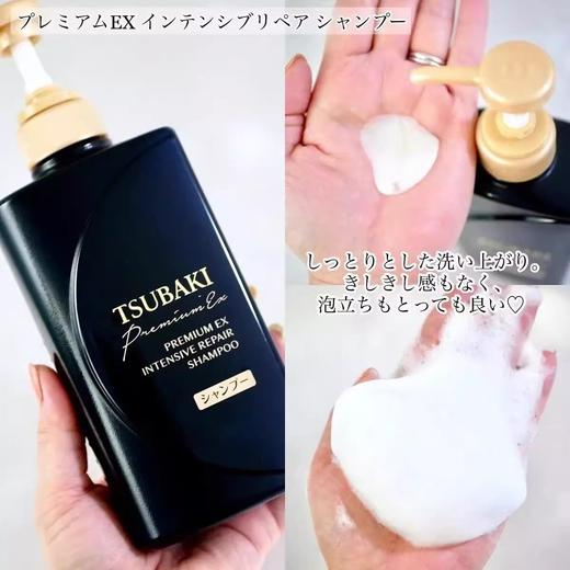 丝蓓绮黑耀瓶沁耀臻致奢护洗发露490ml烫染受损干枯毛躁发质效期25年10月 商品图10