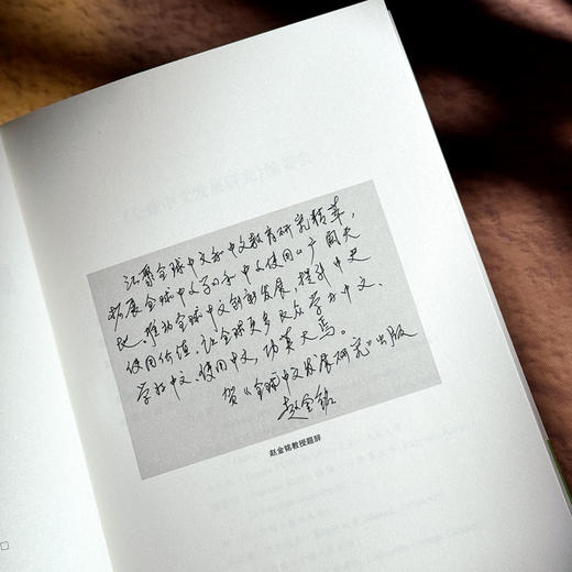 他山之石 国际中文教育研究前沿 全球中文发展研究 第五辑 商品图6