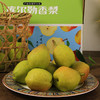 新疆喀什西圣库尔勒香梨2.5kg/箱 商品缩略图1