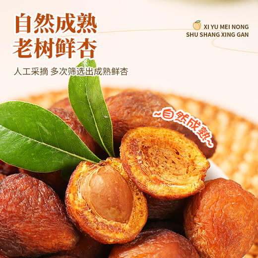 西域美农树上杏干200g*3袋 商品图1