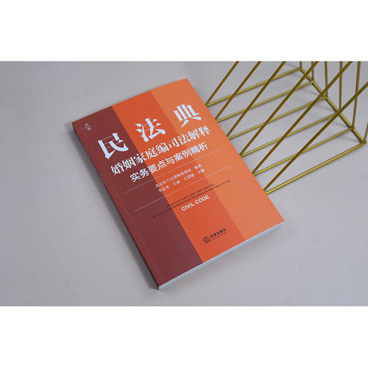 民法典婚姻家庭编司法解释实务要点与案例精析 北京市兰台律师事务所编著 李显冬 王丽 王慧婕主编 法律出版社 商品图4