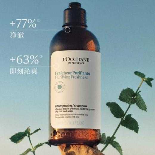 L’OCCITANE欧舒丹草本香菁纯纯净洗发水 商品图0