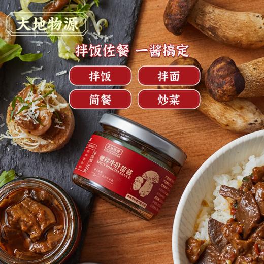 大地物源 香辣牛肝菌酱 热辣滇式 辣而不刺激 大片菌子拌面一绝 商品图4